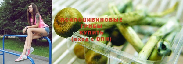 ГАЛЛЮЦИНОГЕННЫЕ ГРИБЫ Алексин