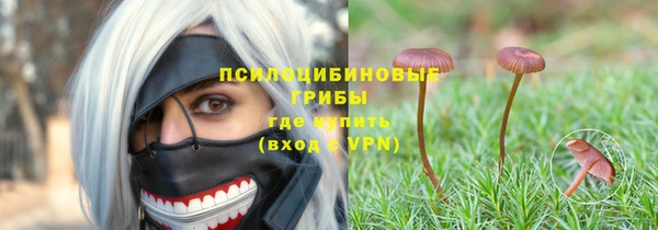 ГАЛЛЮЦИНОГЕННЫЕ ГРИБЫ Алексин