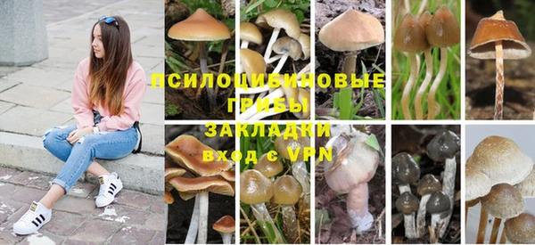 ГАЛЛЮЦИНОГЕННЫЕ ГРИБЫ Алексин