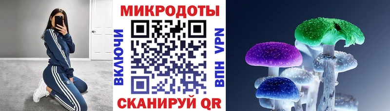 кракен онион  Карабулак  Псилоцибиновые грибы Psilocybine cubensis 